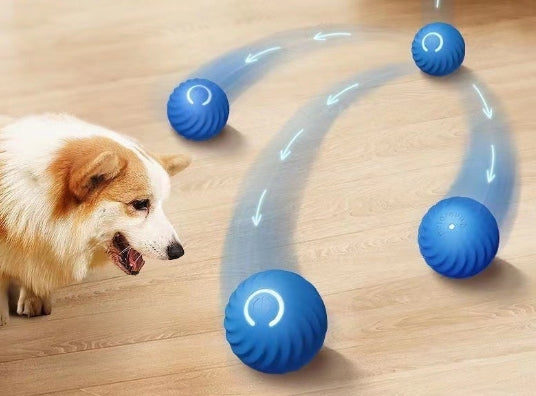 Jumping Ball - Der Ball hüpft und tanzt voran – die Fellnase folgt und springt daran!