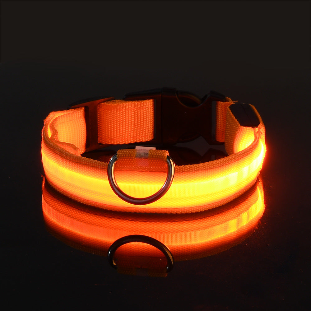 LED Halsband - Glow und Go – mehr Licht für die Sicherheit deines besten Freundes