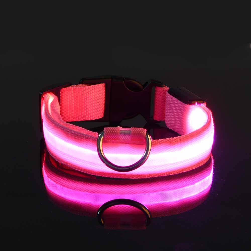LED Halsband - Glow und Go – mehr Licht für die Sicherheit deines besten Freundes