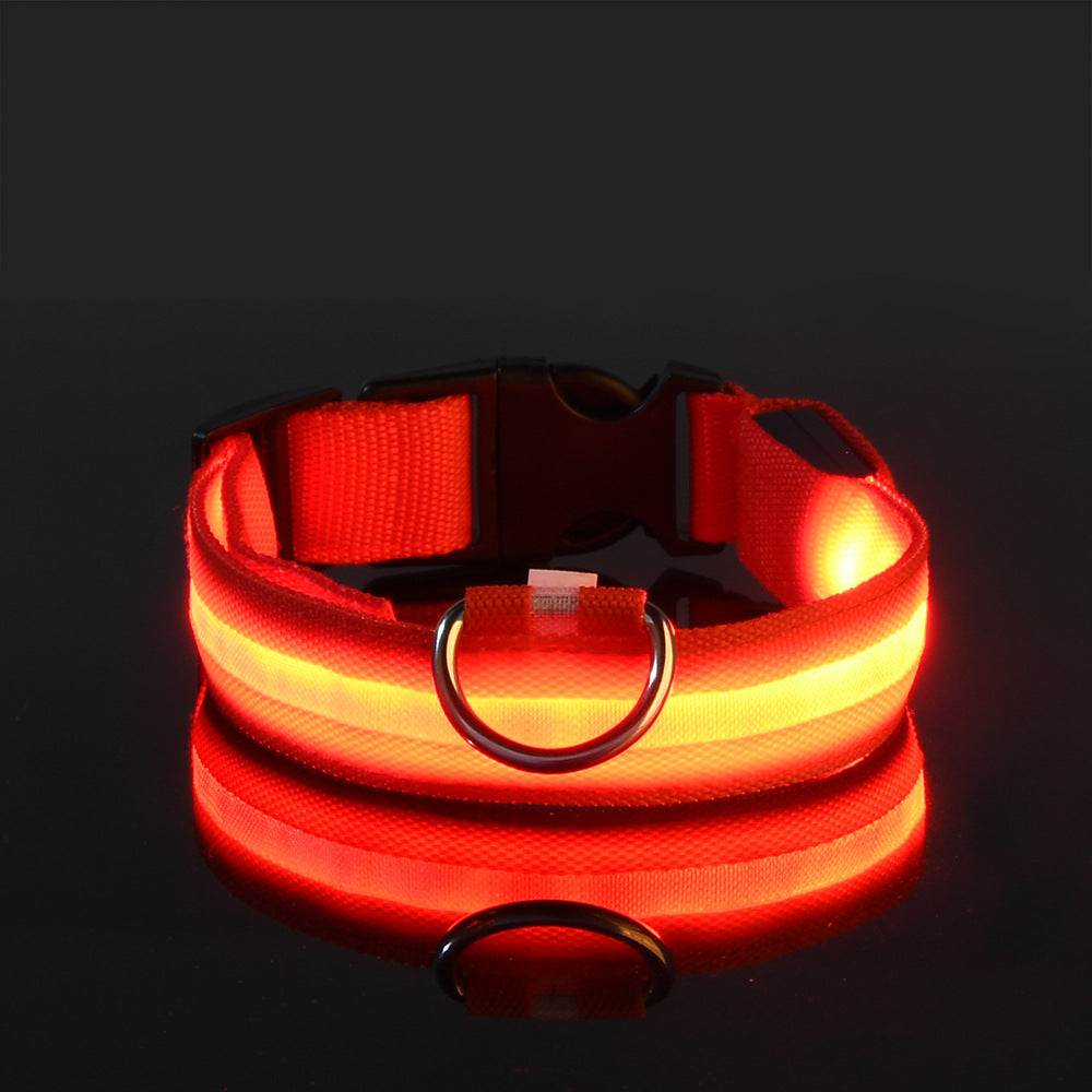 LED Halsband - Glow und Go – mehr Licht für die Sicherheit deines besten Freundes