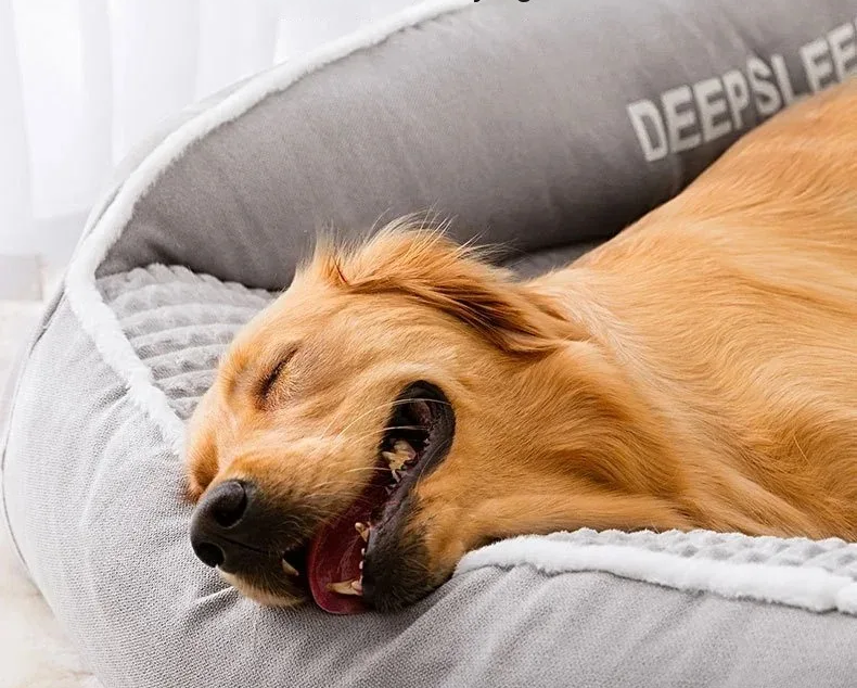 Tiefschlafbett - Mehr als nur ein Nap – es ist ein Lifestyle