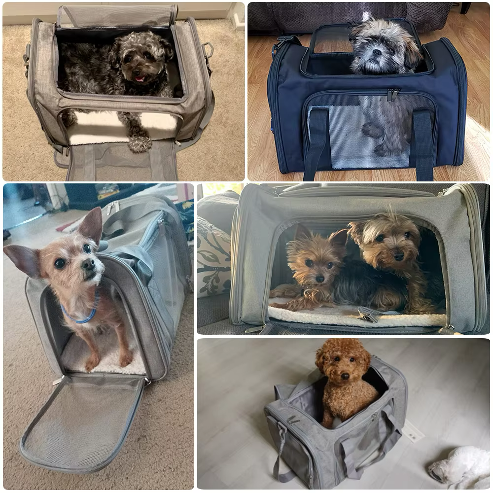 Transporttasche - Die einzige Tasche, die zurückfaucht, wenn du sie falsch abstellst!