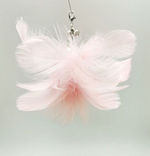 Standkatzenangel - Endlich! Ein Spielzeug, das länger überlebt als dein letzter Versuch, die Pflanze zu retten!"