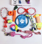 Spielzeug-Mix - Der Mix, bei dem dein Hund alles hat – außer Langeweile