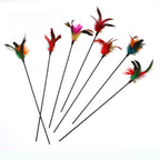 Federwebel bunt - Hoch die Pfoten und ab zum Federspaß