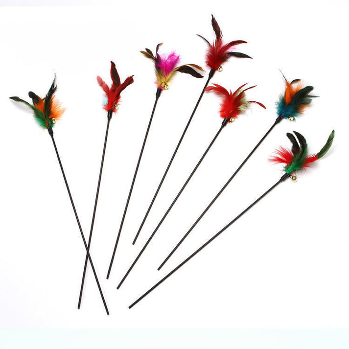 Federwebel bunt - Hoch die Pfoten und ab zum Federspaß