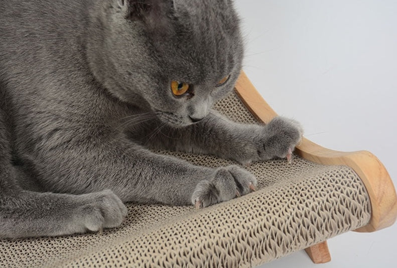 Kratzbrett - Kratz dich glücklich und lass deine Pfoten tanzen