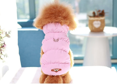 Winterjacke - Mini-Hund, Maxi-Wärme