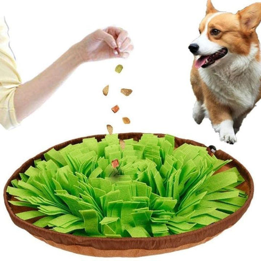 Schnüffel Salatbowl - Gesunder Spaß: Kein Dressing, nur Spannung!
