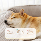 Tiefschlafbett - Mehr als nur ein Nap – es ist ein Lifestyle