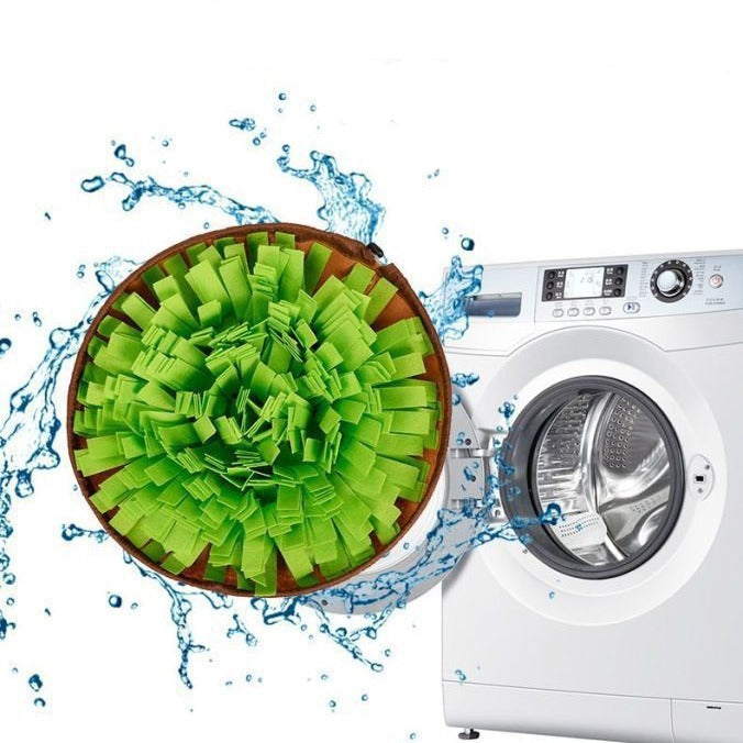 Schnüffel Salatbowl - Gesunder Spaß: Kein Dressing, nur Spannung!