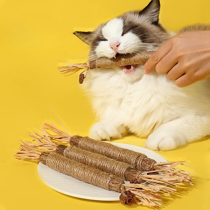 Matatabi Stick - Weil beim Dating strahlendes Lächeln und scharfe Krallen unverzichtbar sind