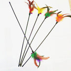 Federwebel bunt - Hoch die Pfoten und ab zum Federspaß