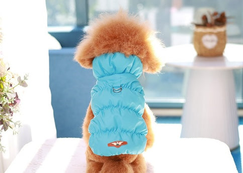 Winterjacke - Mini-Hund, Maxi-Wärme