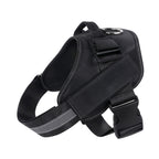 K9 Geschirr - Ich ziehe Frauchen/Herrchen durchs Leben!