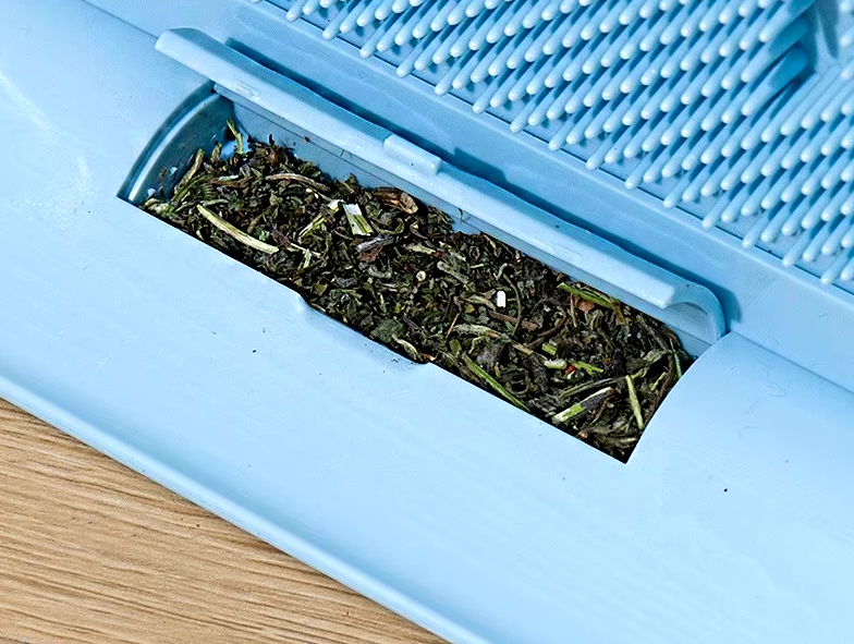 Aufgestellte Kratzbürste - Gute Laune auf Kratzkurs