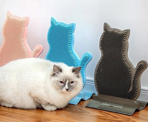 Aufgestellte Kratzbürste - Gute Laune auf Kratzkurs