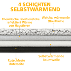 Chill & Heat Lounge - So warm, dass selbst die Katze den Heizkörper ghostet