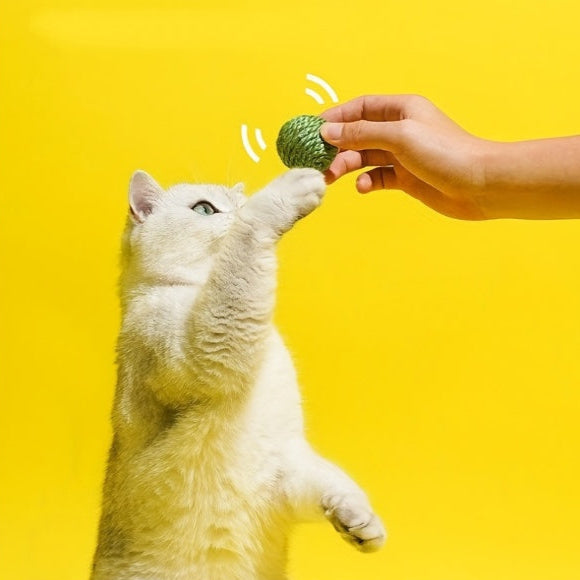 Erbsensisalball - Für den vegetarischen Jäger in deiner Fellnase