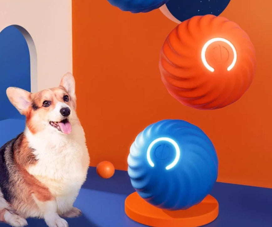 Jumping Ball - Der Ball hüpft und tanzt voran – die Fellnase folgt und springt daran!