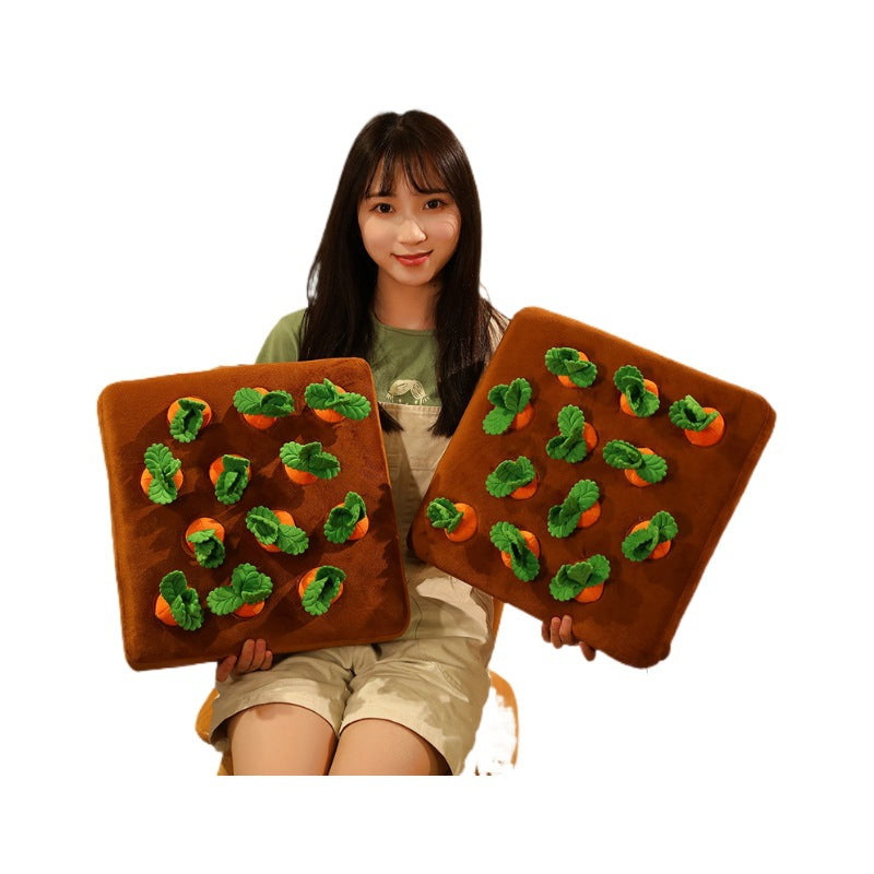 Karotten ziehen - Wer braucht schon einen Garten, wenn man Karotten im Wohnzimmer ziehen kann?