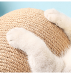 Kratzsisalball - Verwöhne deine Pfote und lass den Jäger in dir raus!