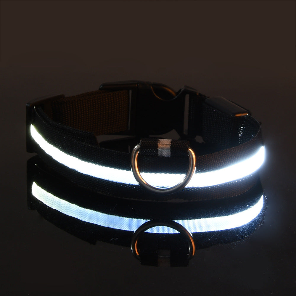 LED Halsband - Glow und Go – mehr Licht für die Sicherheit deines besten Freundes