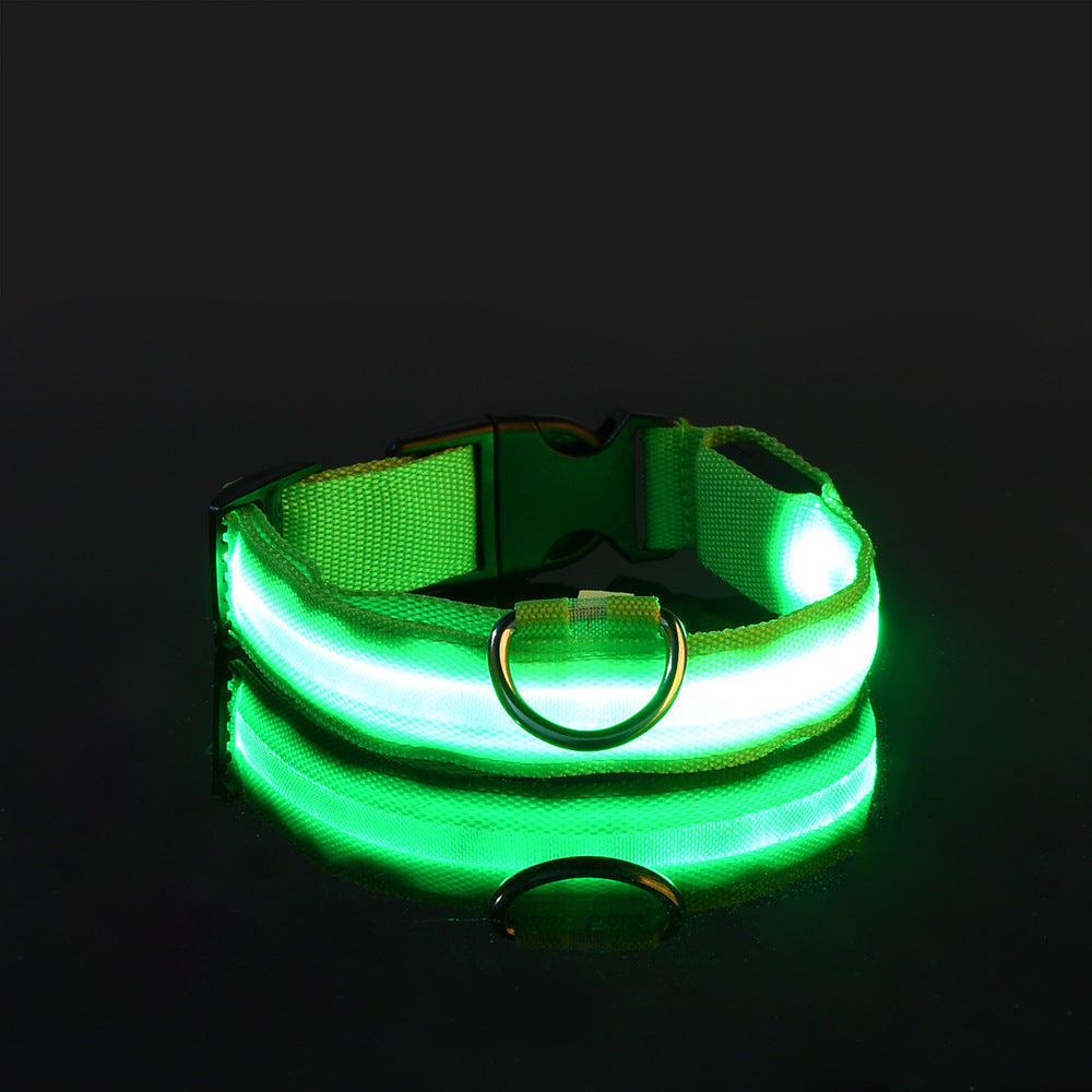 LED Halsband - Glow und Go – mehr Licht für die Sicherheit deines besten Freundes