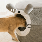 2 in 1 Bett - Ein Bett für jede Stimmung: Höhlen-Modus oder Dachterrasse!