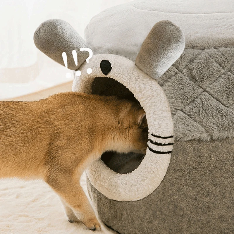 2 in 1 Bett - Ein Bett für jede Stimmung: Höhlen-Modus oder Dachterrasse!