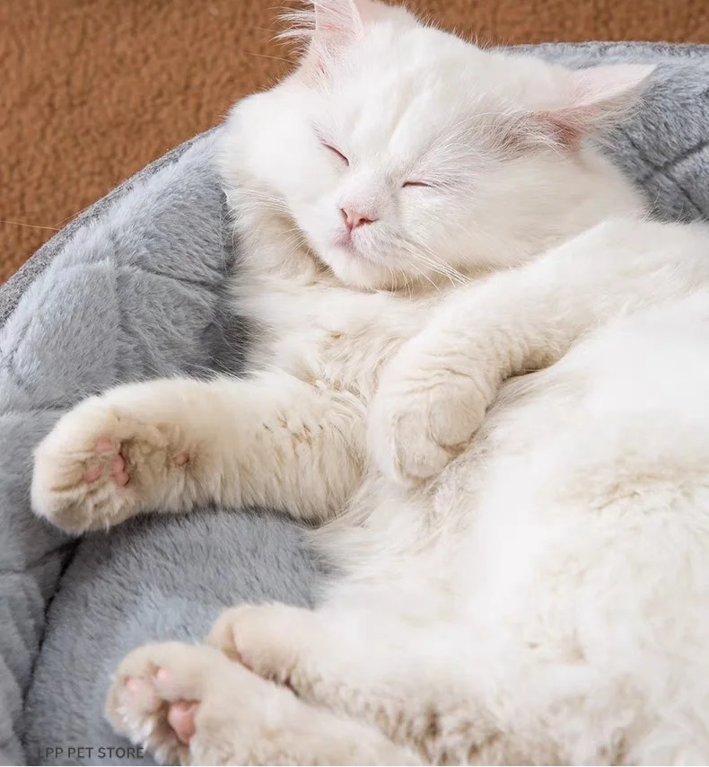 2 in 1 Bett - Ein Bett für jede Stimmung: Höhlen-Modus oder Dachterrasse!