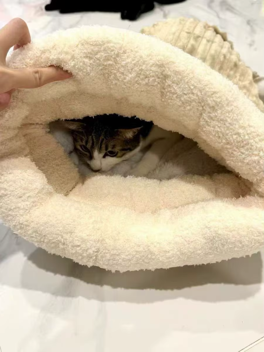 Schlafsack - Fluffiges Brot, warme Füllung - das perfekte Rezept für süße Träume!