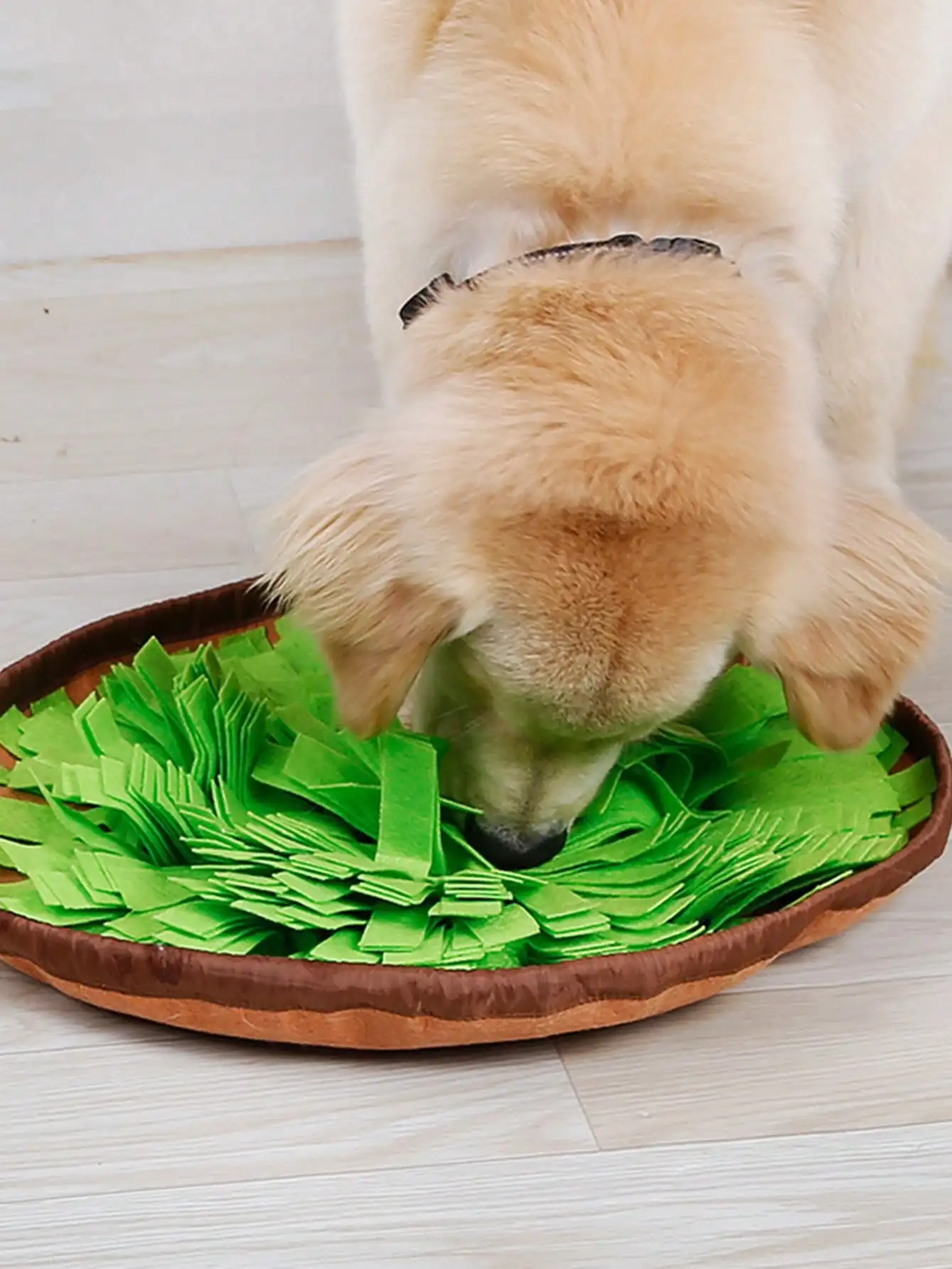 Schnüffel Salatbowl - Gesunder Spaß: Kein Dressing, nur Spannung!