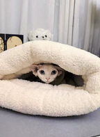 Schlafsack - Fluffiges Brot, warme Füllung - das perfekte Rezept für süße Träume!