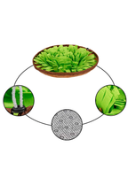 Schnüffel Salatbowl - Gesunder Spaß: Kein Dressing, nur Spannung!