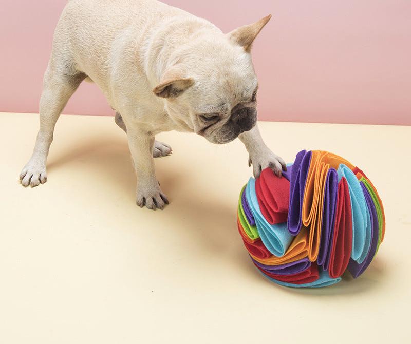 Schnüffelball - Der Ball, der mehr Aufregung bringt als deine tägliche Zoom-Konferenz!
