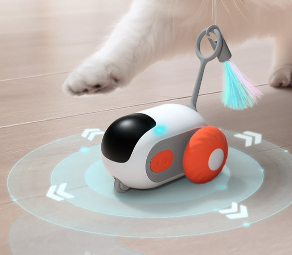 Smart Car - Schnurren auf der Überholspur