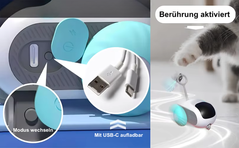 Smart Car - Schnurren auf der Überholspur