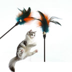 Federwebel bunt - Hoch die Pfoten und ab zum Federspaß