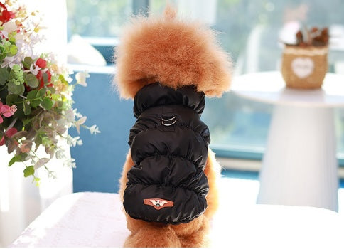 Winterjacke - Mini-Hund, Maxi-Wärme