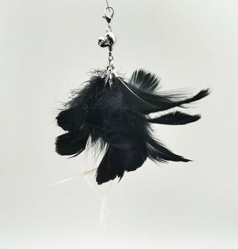 Standkatzenangel - Endlich! Ein Spielzeug, das länger überlebt als dein letzter Versuch, die Pflanze zu retten!"