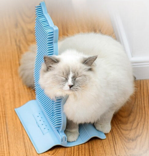 Aufgestellte Kratzbürste - Gute Laune auf Kratzkurs