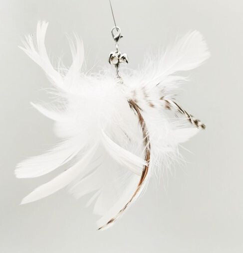 Standkatzenangel - Endlich! Ein Spielzeug, das länger überlebt als dein letzter Versuch, die Pflanze zu retten!"